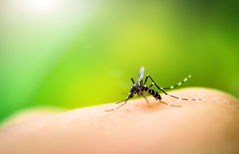 Voluntários vão atuar em força-tarefa de combate à dengue em Itajaí_22.2.2024.jpg