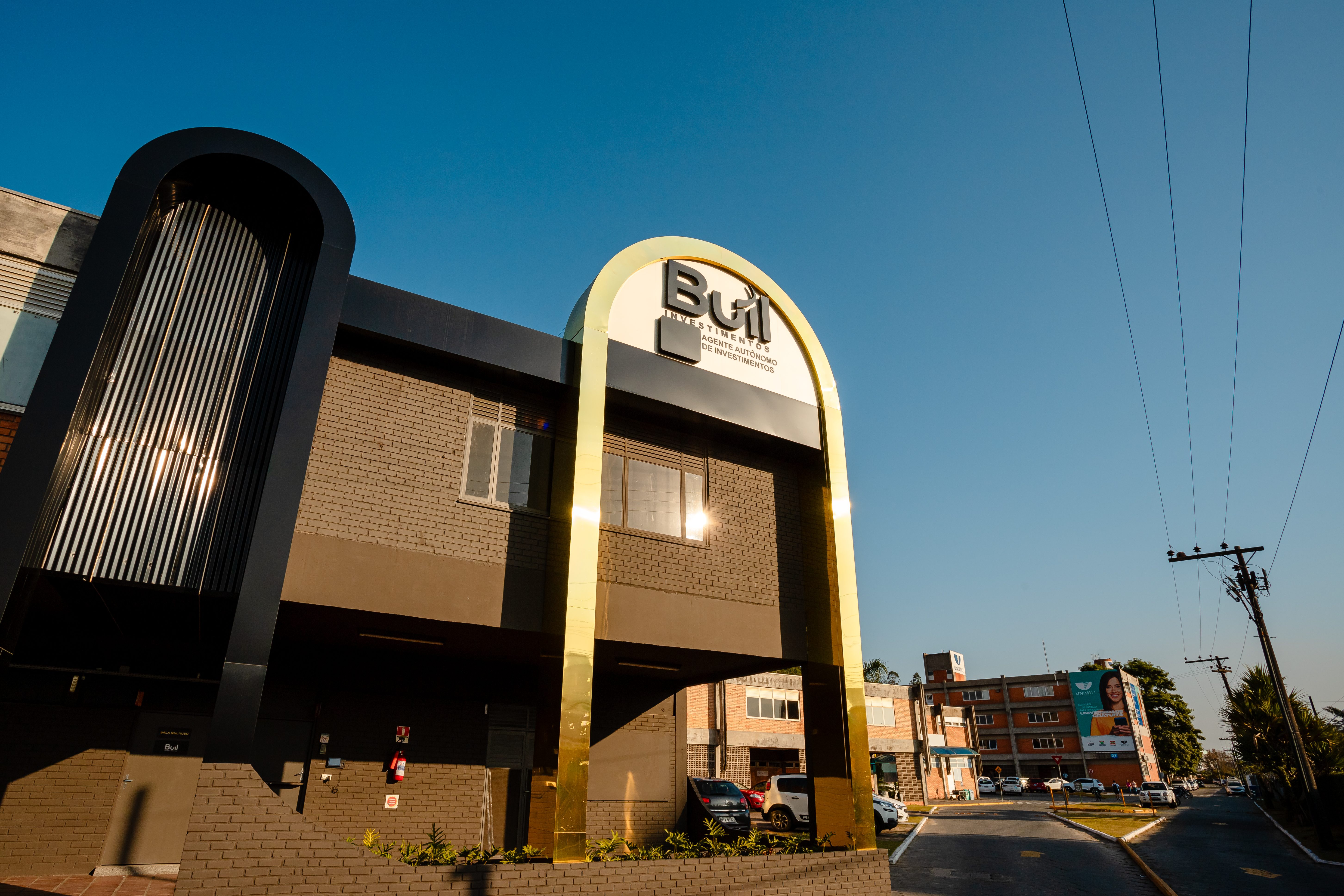Bull - Foto Dales Hoeckesfeld - 0037.jpg