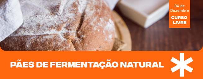 banner-site-paes-naturais 3.jpg