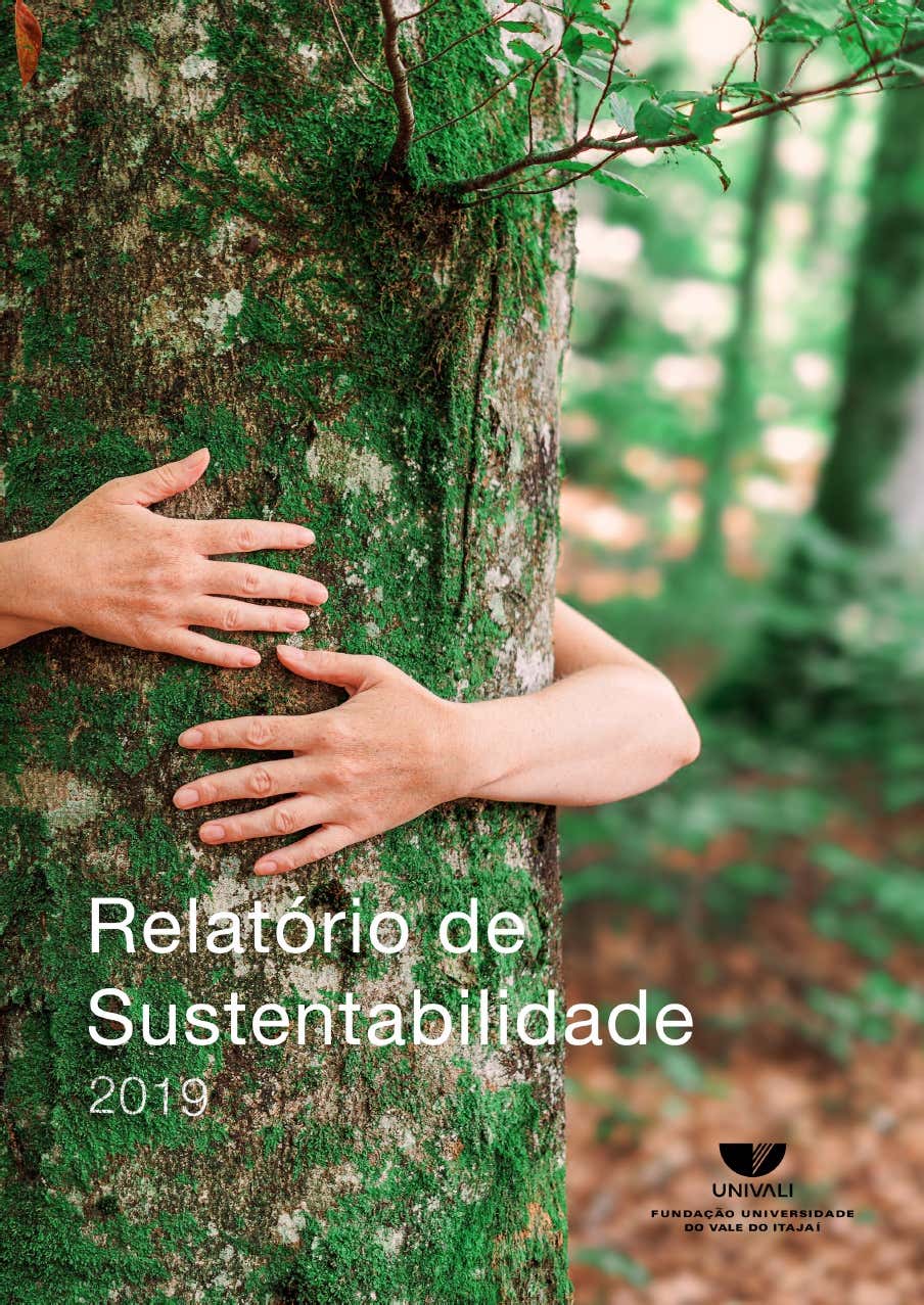 Relatório de Sustentabilidade 2019