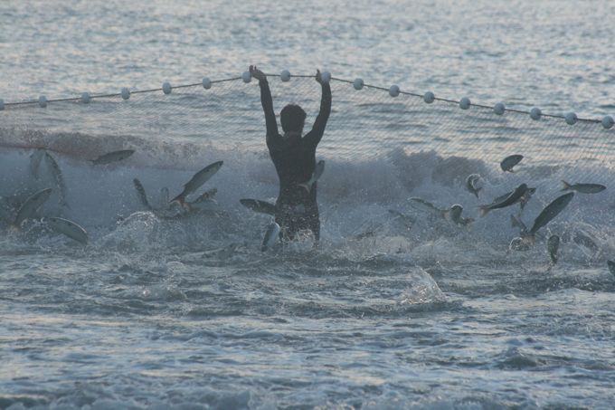 2017-04-25- A tradição da pesca da tainha no litoral de Santa Catarina - Magru Floriano.png