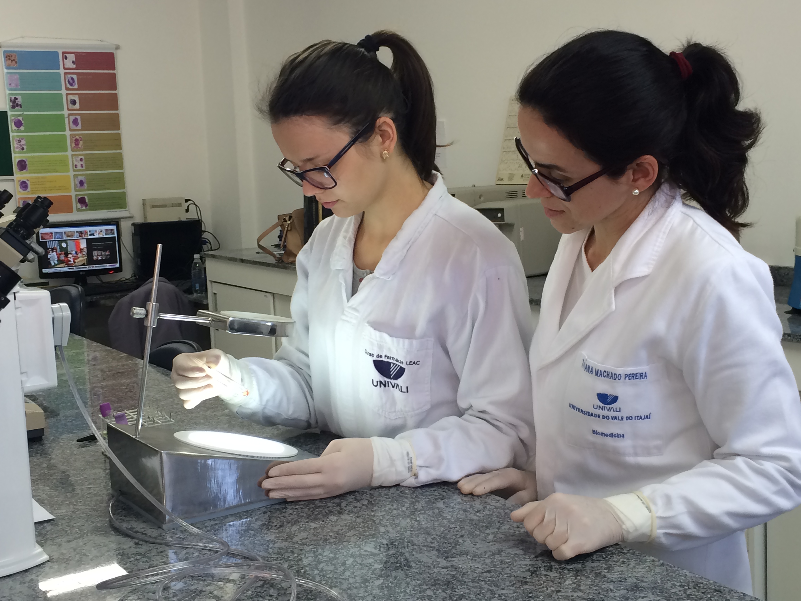 visor de aglutinação5.jpg