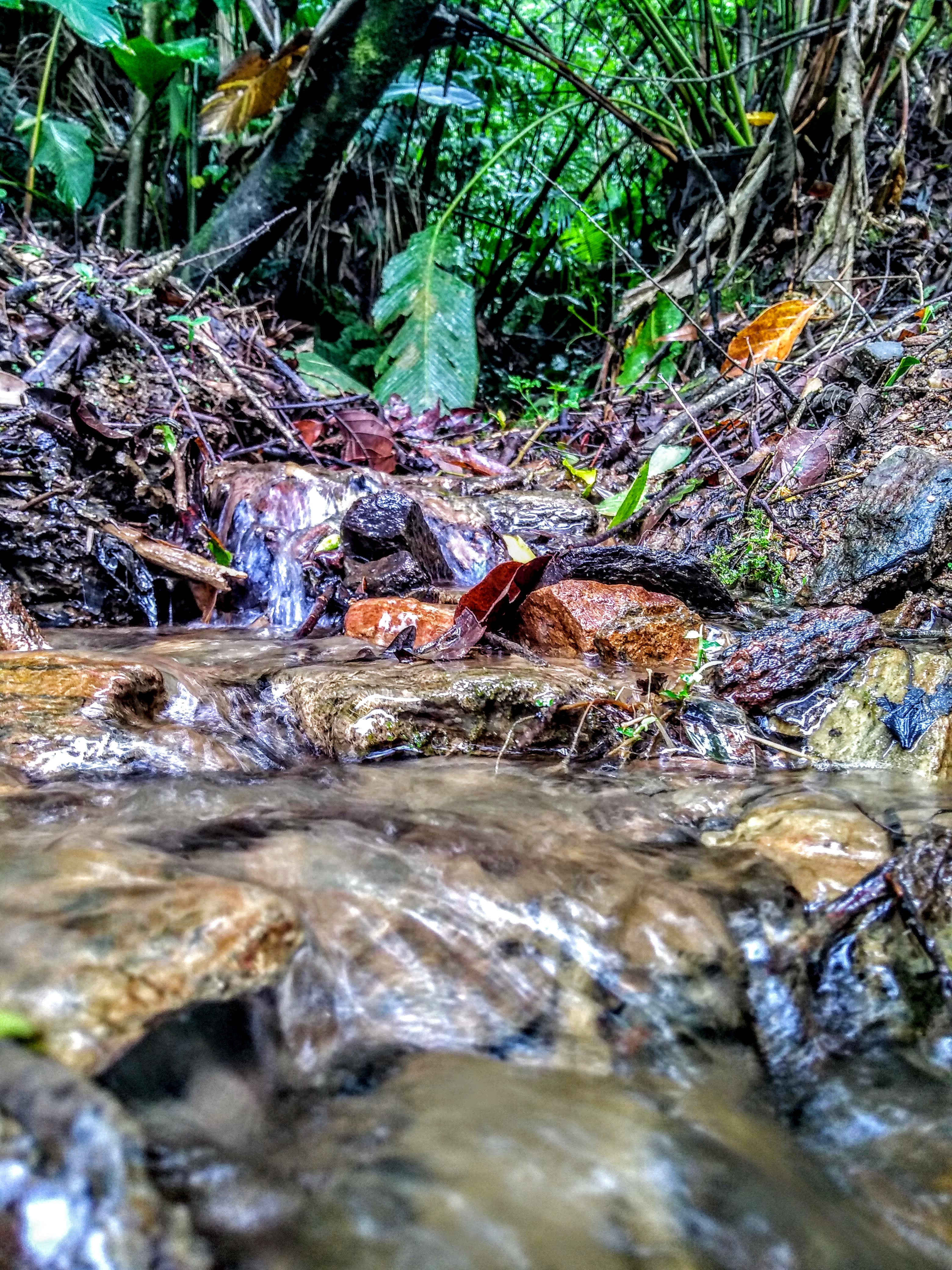 2019-11-01-concurso-fotografia-direito-tijucas-2019-agua-viva.jpg