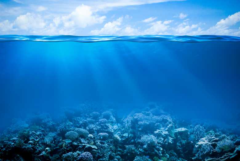 Dispenser Per Carta Igienica Interfogliata Mar Plast - Colore Bianco, Con Serratura A Pulsante - Foto 8