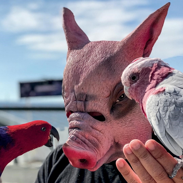 Fernando Lindote expõe na Univali_29.5.2024_.jpg