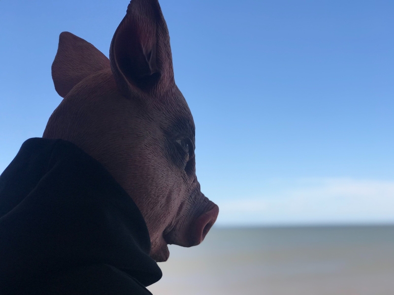 Fernando Lindote expõe na Univali__29.5.2024__.jpg