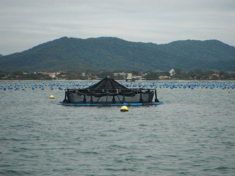 INFRA PPGCTA 02.jpg